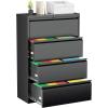 imageGreenvelly 2 Drawer File Cabinet Black Metal Lateral File Cabinet with Lock Office Filing Cabinet for LegalLetterA4F4 Size with Hanging FilesampampKey Lockable File Cabinets for Home OfficeBlack