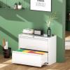 imageGreenvelly 2 Drawer File Cabinet Black Metal Lateral File Cabinet with Lock Office Filing Cabinet for LegalLetterA4F4 Size with Hanging FilesampampKey Lockable File Cabinets for Home OfficeWhite