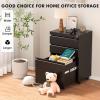 imageGreenvelly 2 Drawer File Cabinet Black Metal Lateral File Cabinet with Lock Office Filing Cabinet for LegalLetterA4F4 Size with Hanging FilesampampKey Lockable File Cabinets for Home OfficeBlack