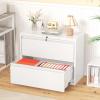 imageGreenvelly 2 Drawer Lateral File Cabinet White Metal Filing Cabinet for Home Office Lockable File Cabinet for LegalLetterA4F4 Size with Hanging BarsampampKey
