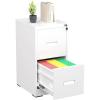 imageGreenvelly 2 Drawer File Cabinet Black Metal Lateral File Cabinet with Lock Office Filing Cabinet for LegalLetterA4F4 Size with Hanging FilesampampKey Lockable File Cabinets for Home OfficeWhite