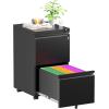 imageGreenvelly File CabinetMetal Mobile 2Drawer Rolling File Cabinet with Lock Under Desk for Home Office Fit LetterLegalA4 SizeEasy AssembleBlackBlack