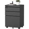 imageGreenvelly File CabinetMetal Mobile 2Drawer Rolling File Cabinet with Lock Under Desk for Home Office Fit LetterLegalA4 SizeEasy AssembleBlackBlack